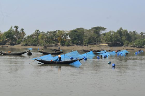 Where River Life Tells a Story