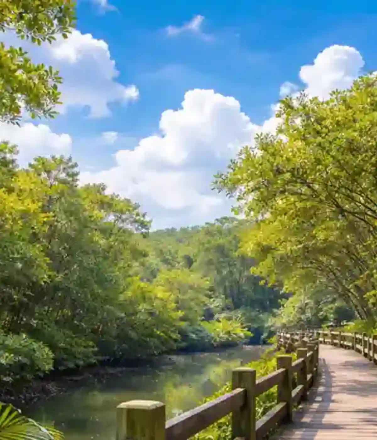 Wooden Bridge